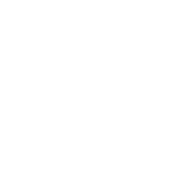 icon-02