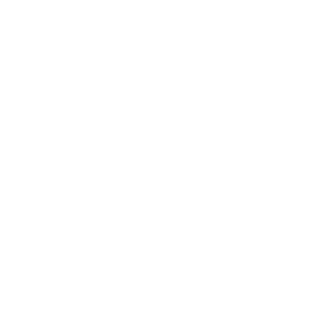 icon-03
